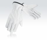 Driver Gloves