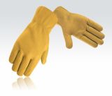 Water Resistant Gloves