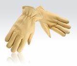 Driver Gloves