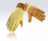 Cut Resistant Gloves